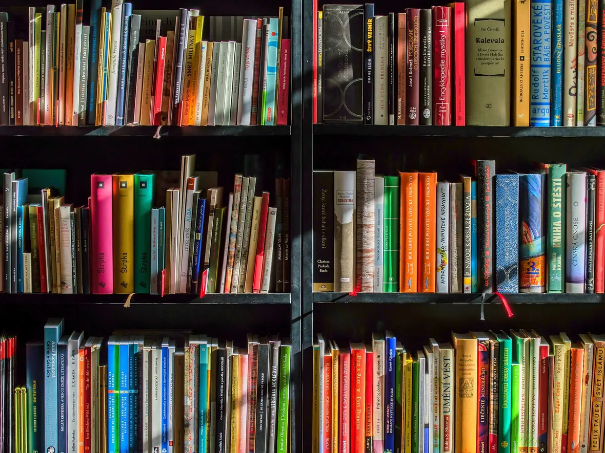 Ein Regal voller Bücher in verschiedenen Farben und Formaten.