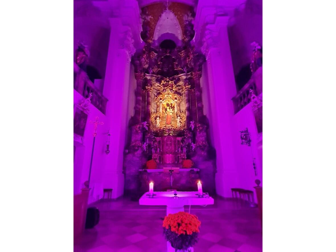 2026-03-18_15-39-18-witzighausen_alterraum_lila