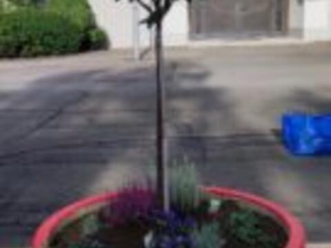 img-20221018-wa0007-135x300