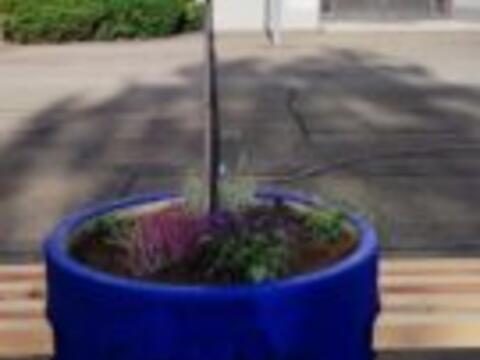 img-20221018-wa0008-135x300