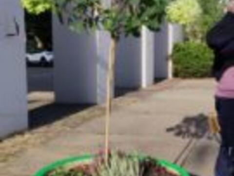 img-20221018-wa0010-135x300